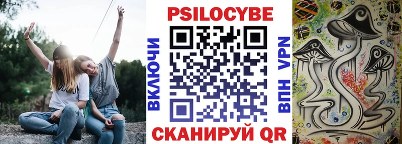 Купить закладки  Славянск-на-Кубани  Галлюциногенные грибы Magic Shrooms 